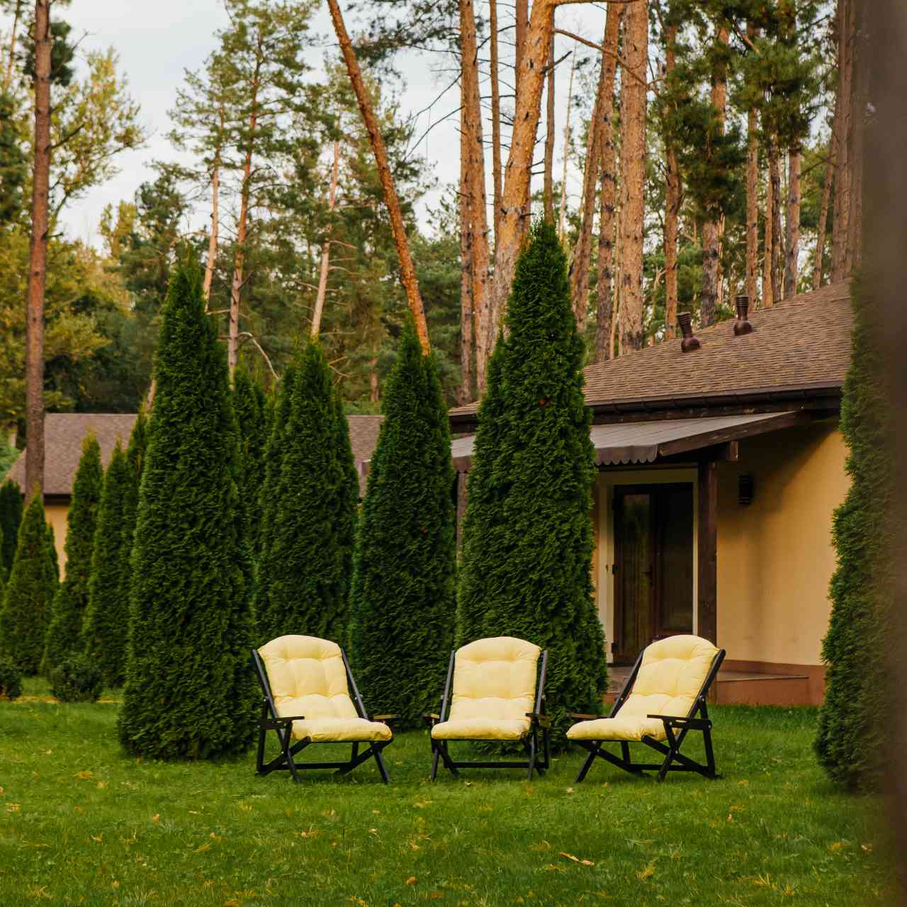 Крісло шезлонг SOFT "Chalet chair"
